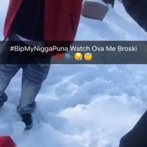 Meet your Posher, Alpo